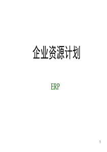 ERP的结构原理