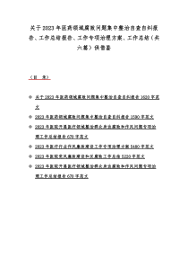 关于2023年医药领域腐败问题集中整治自查自纠报告、工作总结报告、工作专项治理方案、工作总结（共