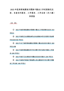 2023年医药领域腐败问题集中整治工作进展情况总结、自查自纠报告、工作报告、工作总结（共六篇）供