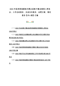 2023年医药领域腐败问题全面集中整治感悟心得体会、工作总结报告、自查自纠报告、治理方案、情况报