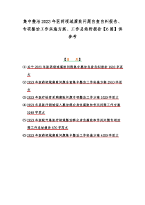 集中整治2023年医药领域腐败问题自查自纠报告、专项整治工作实施方案、工作总结析报告【6篇】供参