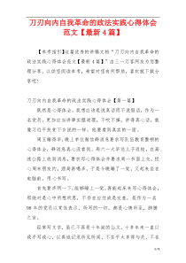 刀刃向内自我革命的政法实践心得体会范文【最新4篇】