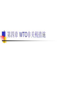 第四章 WTO非关税壁垒措施