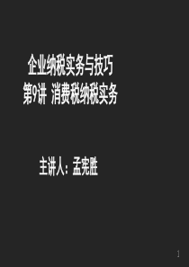 纳税实务与技巧09