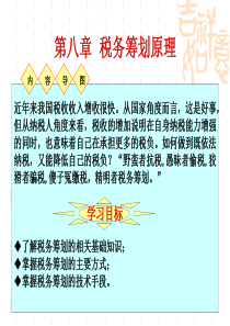 罗小艳第8章税务筹划原理