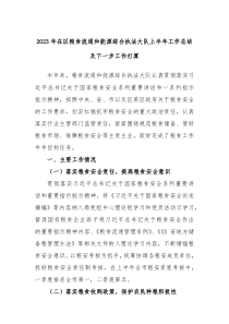 (写作参考)2023年在区粮食流通和能源综合执法大队上半年工作总结及下一步工作打算