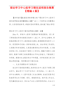 理论学习中心组学习情况说明报告集聚【精编4篇】