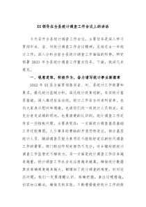 (领导讲话)XX领导在全县统计调查工作会议上的讲话