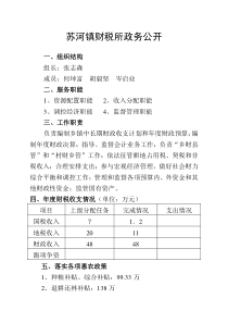 苏河镇财税所政务公开