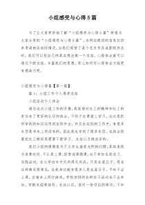 小组感受与心得5篇