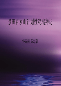 计划性终端拜访