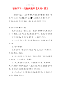 精品学习计划样例集聚【实用4篇】