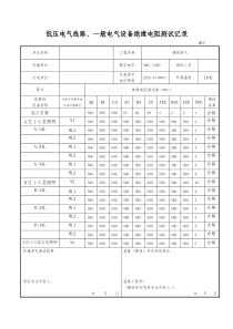 低压电气线路_照明配电箱绝缘电阻测试记录（DOC22页）