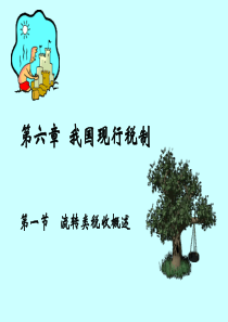 财政与税收6