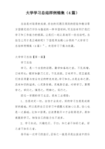 大学学习总结样例锦集（4篇）