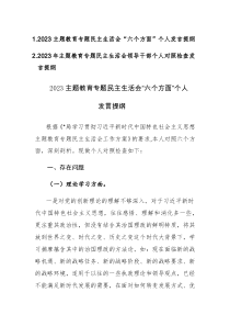 两篇：2023年主题教育专题民主生活会领导干部个人对照检查发言提纲范文