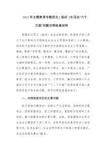 2023年主题教育专题民主（组织）生活会“六个方面”问题对照检查材料