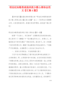 明法纪知敬畏戒侥幸抓少数心得体会范文【汇集4篇】