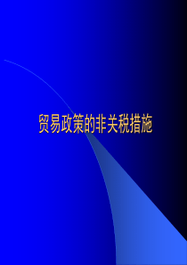 贸易政策的非关税措施(PPT 45页)