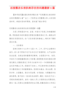 巡视整改长效机制存在的问题最新4篇