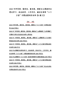 2023年学思想、强党性、重实践、建新功主题教育在理论学习、政治素质、工作作风、廉洁自律等“六个