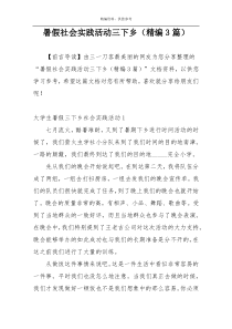 暑假社会实践活动三下乡（精编3篇）