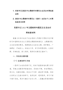 2篇：2023年主题教育专题民主组织”生活会对照检查材料“六个方面”范文