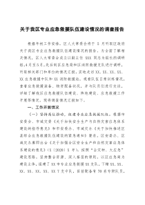 关于我区专业应急救援队伍建设情况的调查报告