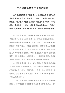 xx年县民政局慈善工作总结范文