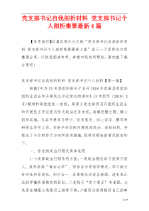 党支部书记自我剖析材料 党支部书记个人剖析集聚最新4篇