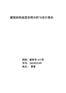 建筑结构选型实例分析与设计报告格式