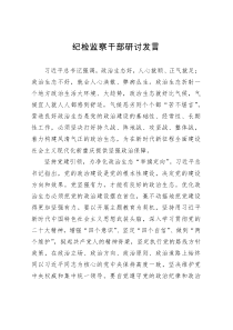 纪检监察干部教育整顿研讨发言材料