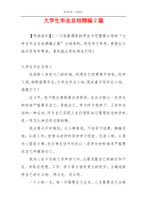 大学生毕业总结精编2篇