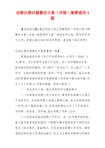 巡察反馈问题整改方案（详情）集聚通用4篇