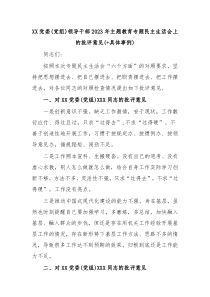 XX党委党组领导干部2023年主题教育专题民主生活会上的批评意见具体事例