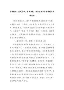 经验做法党建引领创新为民努力当好农业农村现代化排头兵