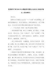 党委领导干部2023年主题教育专题民主生活会上的批评意见具体事例