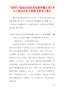 《领导干部违纪违法典型案例警示录》学习心得体会范文集聚【参考4篇】