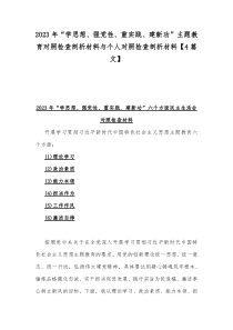 2023年“学思想、强党性、重实践、建新功”主题教育对照检查剖析材料与个人对照检查剖析材料【4篇