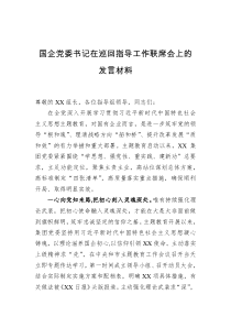 国企党委书记在巡回指导工作联席会上的发言材料