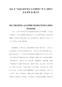 2023年“忠诚为党护党全力兴党强党”学习心得研讨发言材料【2篇文】