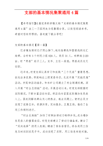 支部的基本情况集聚通用4篇