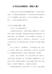 公司社会实践报告（精选5篇）