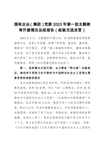 国有企业（集团）党委2023年第一批主题教育开展情况总结报告（经验交流发言）