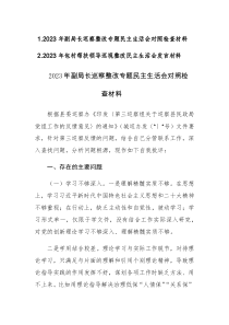 2023年副职领导及包村帮扶领导巡察整改专题民主生活会对照检查材料范文2篇