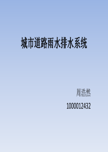 智能交通报告-城市排水系统