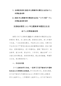 2篇：支部组织委员2023年主题教育专题民主生活会个人对照检查材料范文