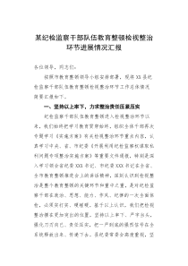 某纪检监察干部队伍教育整顿检视整治环节进展情况汇报