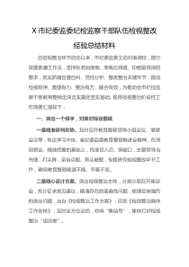 X市纪委监委纪检监察干部队伍检视整改经验总结材料