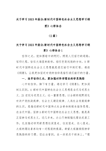 2篇关于学习2023年版A新时代中国特色社会主义思想学习纲要心得体会